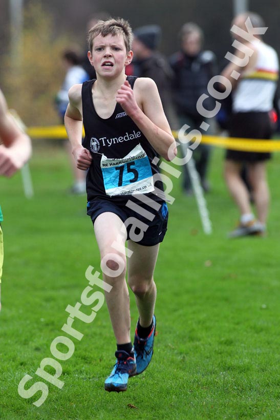 Blue 75, North East Harrier League
